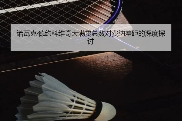 诺瓦克·德约科维奇大满贯总数对费纳差距的深度探讨